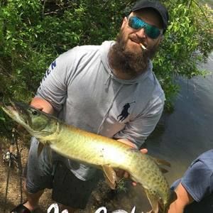 Meet your Posher, Dan